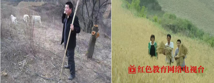 QQ图片20241106095247.png