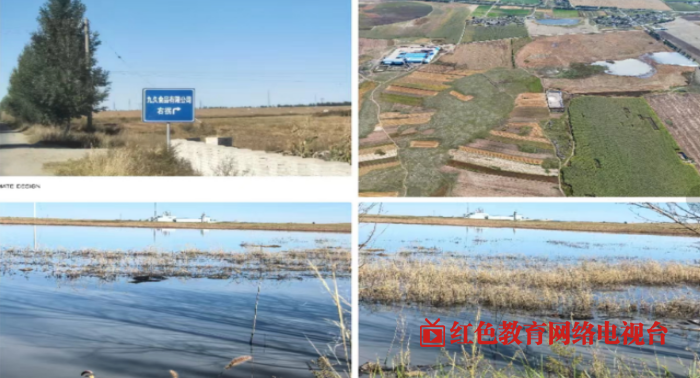 1759061829634576.png QQ_1759042380915.png