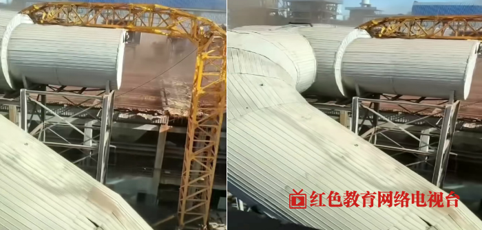 1763348272730166.png QQ_1763348112196.png